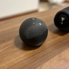 アレクサの画像