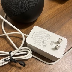アレクサの画像