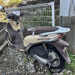 ホンダ Sh mode SHモードの画像