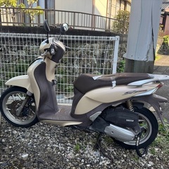 ホンダ Sh mode SHモードの画像