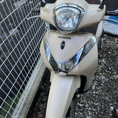 ホンダ Sh mode SHモードの画像