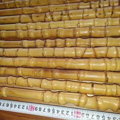 焼き入れ済み　布袋竹　15本　の画像