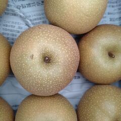 梨　幸水　約10キロ（箱込）5000円の画像