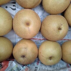 梨　幸水　約10キロ（箱込）5000円の画像