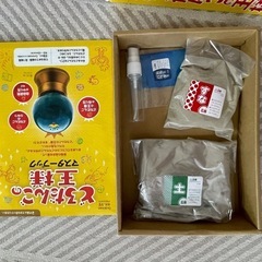どろんこ王様の画像
