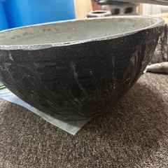 睡蓮鉢の画像