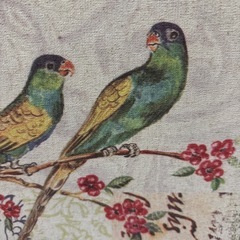 鳥がついたウォールアートファブリックアートの画像