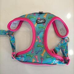わんちゃんのハーネスとリードセットの画像