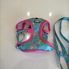 わんちゃんのハーネスとリードセットの画像