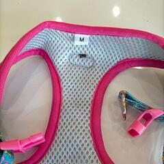 わんちゃんのハーネスとリードセットの画像