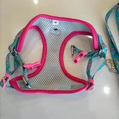 わんちゃんのハーネスとリードセットの画像