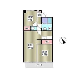 💕初期費用「8万円」・即入居⭐️インターネット無料・わんちゃん猫ちゃんと暮らせるお部屋💕フリーレント（初月賃料無料）、敷金なし、礼金なし、仲介手数料なしで初期費用節約🎶の画像