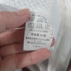 レースカーテンの画像