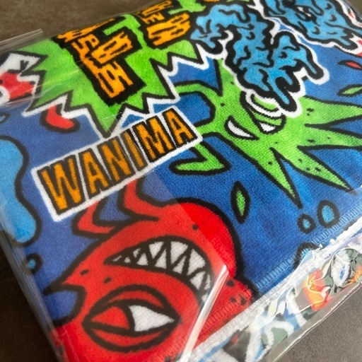 終了』 ワンチャンフェス2025【WANIMA】バスタオル (Yoco) 南