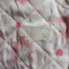上履き入れ　マイメロ　中古の画像