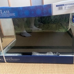 新品　フレームレス水槽　600✖️300✖️360mm
の画像