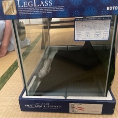 新品　フレームレス水槽　600✖️300✖️360mm
の画像