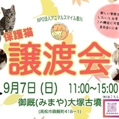 ９／７（日）保護猫の譲渡会を開催します！