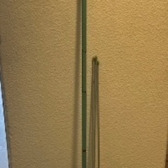 ブルーベリー　苗木　の画像