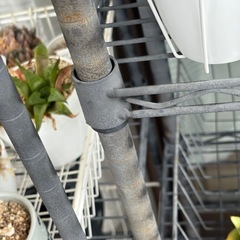 ルミナス 3段 メタルラック 2点 多肉植物 数点セットの画像