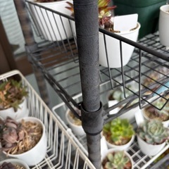 ルミナス 3段 メタルラック 2点 多肉植物 数点セットの画像