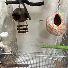 GEXアクリルルーム390high（40.0×33.0×71.1cm）※中古品ですの画像