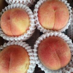 【商談中】山形県の桃　川中島　13個入1箱(半箱)　税込1200円の画像