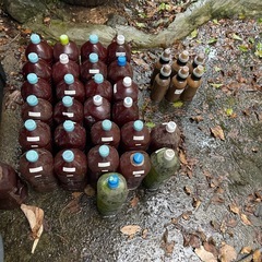 光合成細菌培基2L 10本