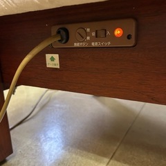 　National レトロなマッサージベットの画像