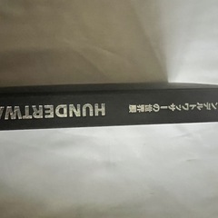 フンデルトワッサー作品集の画像