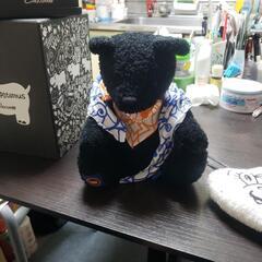 Chocom  Hippopotamusの画像