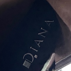 DIANAの画像