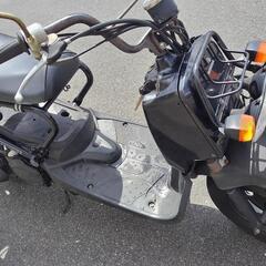 ホンダ　ズーマーの画像
