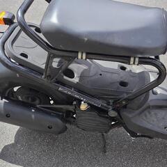 ホンダ　ズーマーの画像