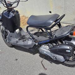 ホンダ　ズーマーの画像