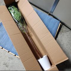 667fk 【未使用品・開封品】パキラフェイク観葉植物 フェイク フェイクグリーン　y090503fkの画像