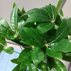 667fk 【未使用品・開封品】パキラフェイク観葉植物 フェイク フェイクグリーン　y090503fkの画像