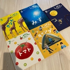 絵本11冊セット　しぜん　図鑑　キンダーブック　フレーベル館の画像