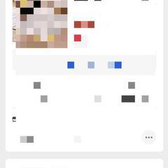 【10/12,13引取希望】ソファベッド  折りたたみ 座椅子 一人掛けワイドの画像