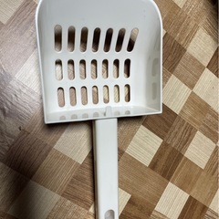 pidan かまくら猫トイレドーム型の画像
