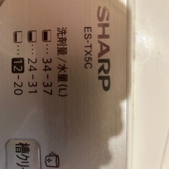 SHARP 2019年夏購入　5.5kg 洗濯機の画像