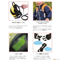 1-3歳　リュック　亀さん　リトルライフ　の画像