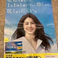 井川遥　販促用ポスター　非売品　クラリチンＥＸの画像
