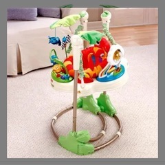 近日処分します【Fisher-Price】レインフォレスト・ジャンパルーの画像