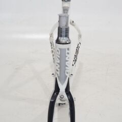 GIANT 「ジャイアント」 DEFY3 2011年 フレームセット の画像
