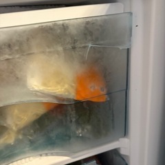 冷凍庫の画像