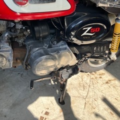 モンキー　z50の画像