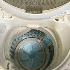 【本日限定特売中】東芝 全自動洗濯機 AW-5G6 2019年製 5kg 乾燥無しの画像