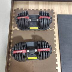 ダンベル&ベンチの画像
