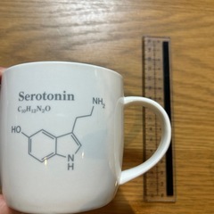 【まとめ売り】食器 コップ5点セットの画像